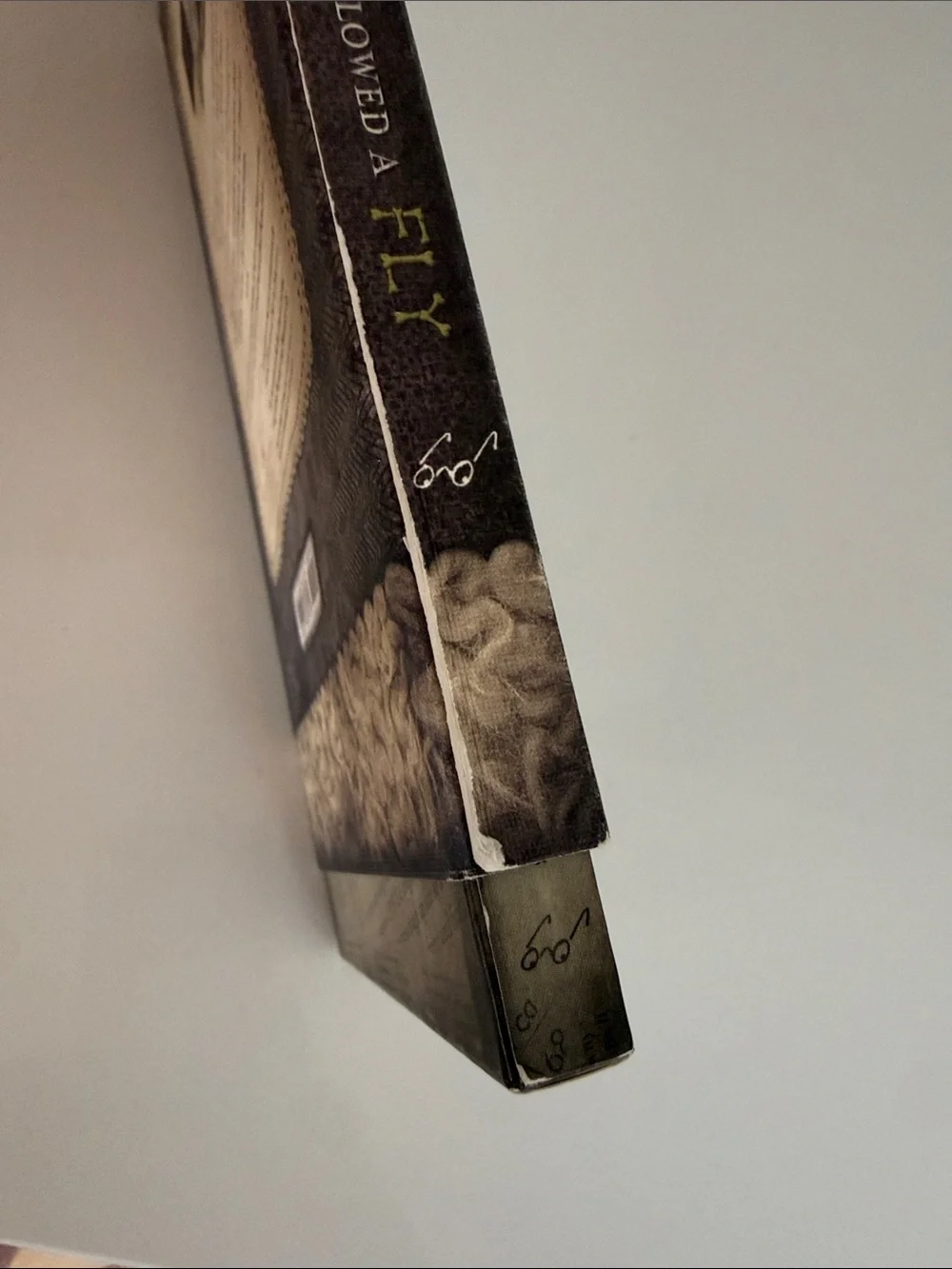 There Was an Old Lady by Jeremy Holmes (2009, Hardcover)